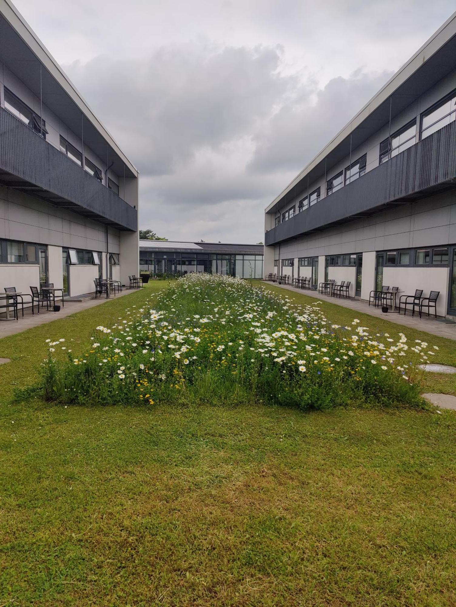 Storebaelt Sinatur Hotel & Konference Nyborg Exterior foto