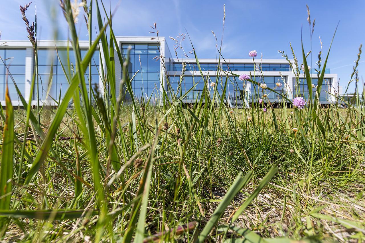 Storebaelt Sinatur Hotel & Konference Nyborg Exterior foto